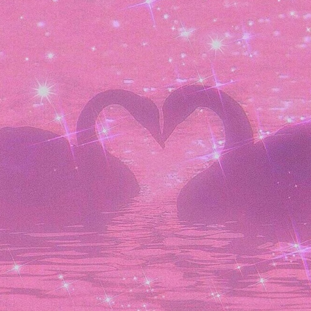 Meet your Posher, Desi